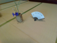IMG_20250701_105335