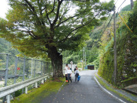 PA150024