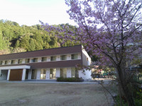 IMG_20260408_070759