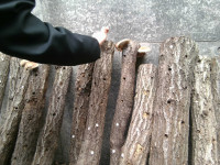 IMG_20260420_125930