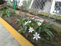 IMG_20260427_144213