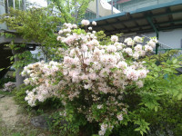 IMG_20260508_121050