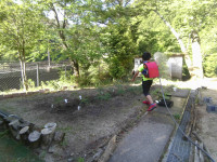 IMG_20260518_075126