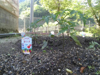 IMG_20260518_075156