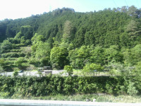 IMG_20260519_084216