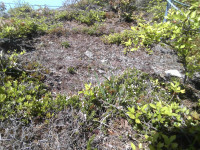IMG_20260519_132938