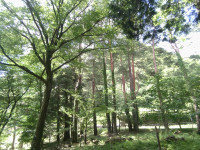 IMG_20260703_100933