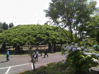 IMG_20260703_101424