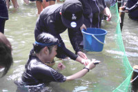 pict-IMG_2255