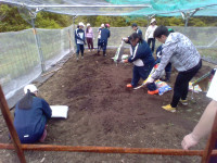 IMG_20250501_094800