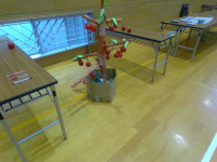 IMG_20250708_144728