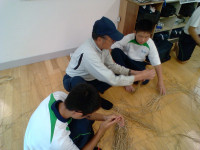 IMG_20250904_104247
