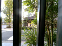 IMG_20251010_070243